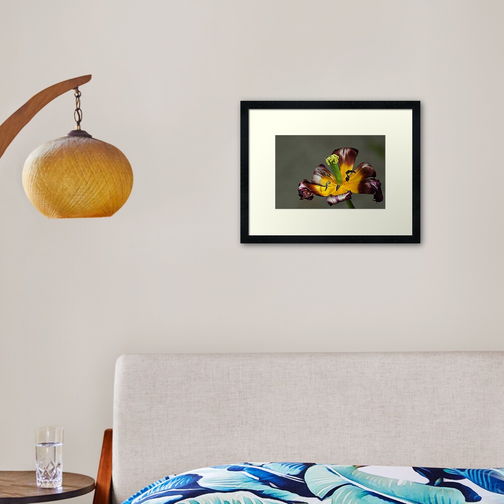 Item preview, Framed Art Print designed and sold by steppeland.