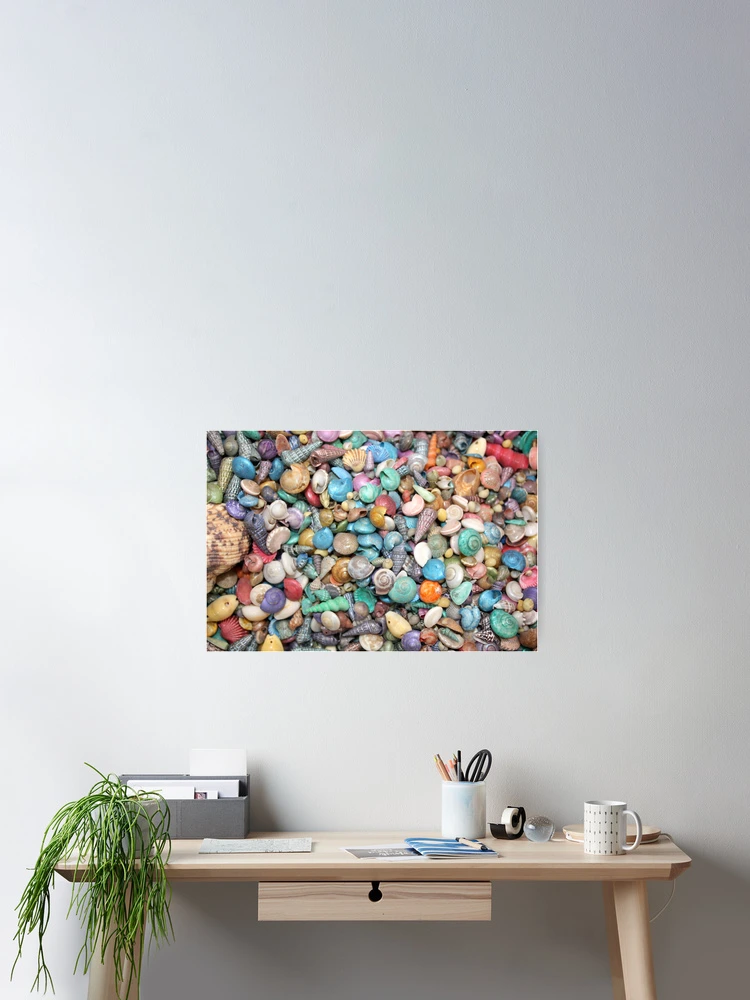 Thumbnail 2 of 3, Poster, Shells, Shells, Shells designed and sold by AuntDot.