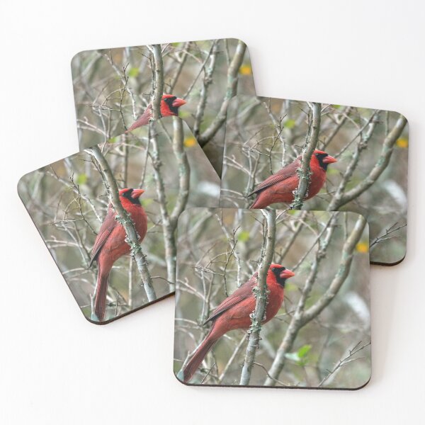 Item preview, Winter Cardinal designed and sold by KbytesOfJax Outdoor and Nature.