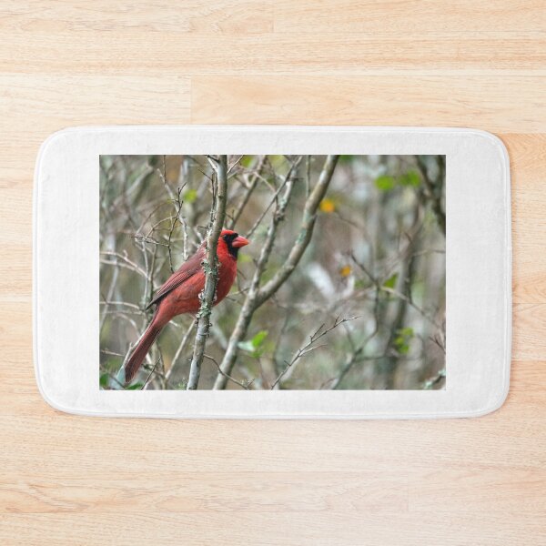 Item preview, Winter Cardinal designed and sold by KbytesOfJax Outdoor and Nature.