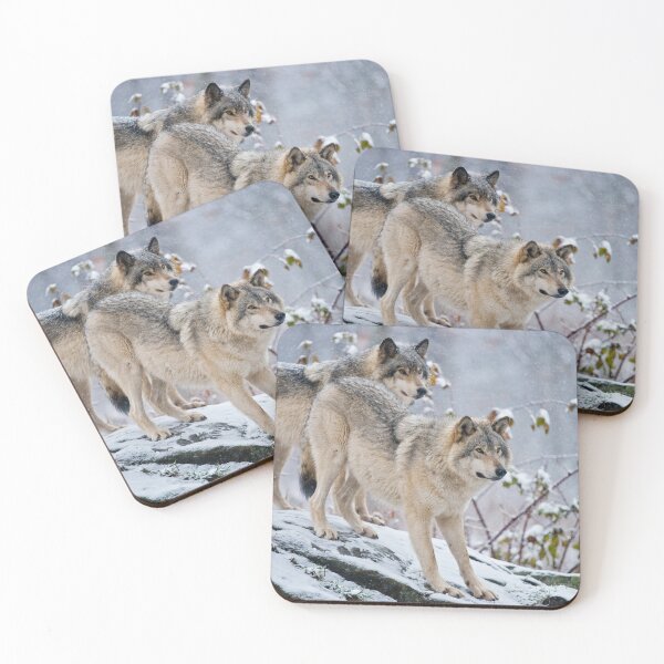 Item preview, Two Gray Wolves designed and sold by Michael Cummings.