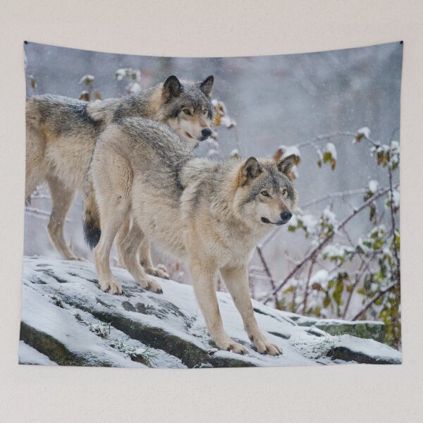 Item preview, Two Gray Wolves designed and sold by Michael Cummings.