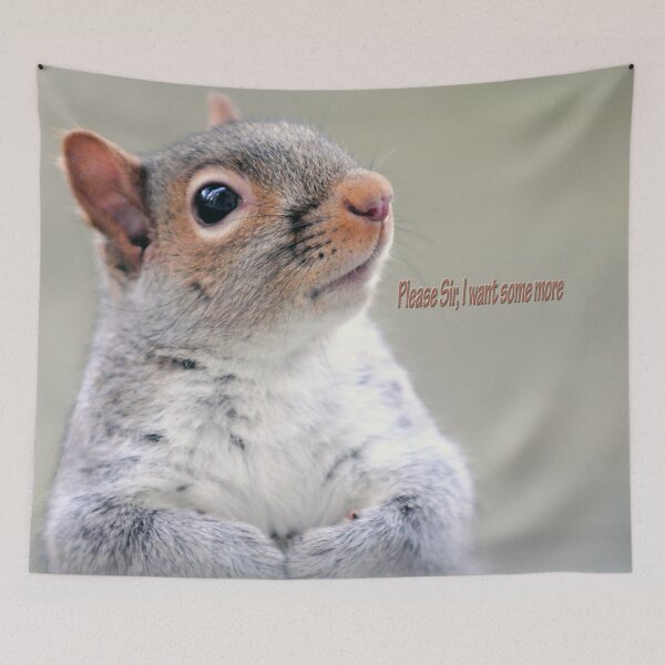 Item preview, Oliver Twist Squirrel designed and sold by Frankie Cat Photography.