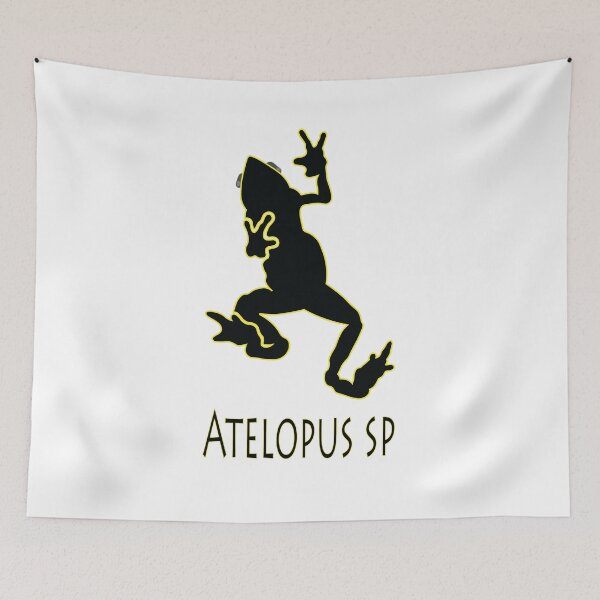 Item preview, Atelopus sp designed and sold by The Sleepy Monito.