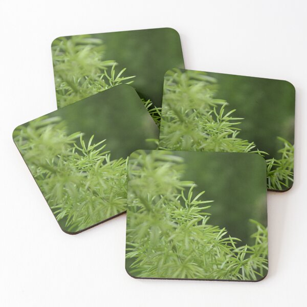 Item preview, Longwood Garden Greens designed and sold by jstxrm.