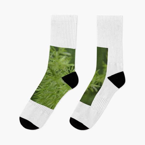 Item preview, Longwood Garden Greens designed and sold by jstxrm.