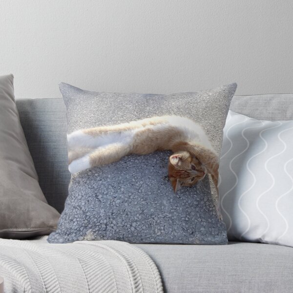 Item preview, Kitten Yoga by Orikall designed and sold by HippieWorks.