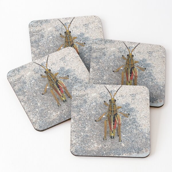 Item preview, An Interesting Grasshopper designed and sold by bellaura.