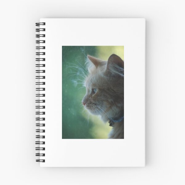 Item preview, Cat lover designed and sold by Clareyjo.
