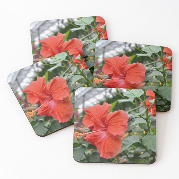 Item preview, Tropical Flower designed and sold by jstxrm.