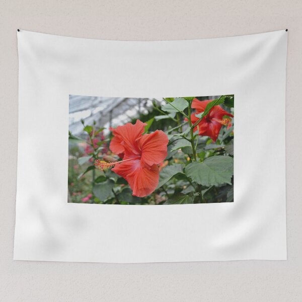 Item preview, Tropical Flower designed and sold by jstxrm.