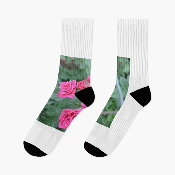Item preview, Pink Roses designed and sold by jstxrm.