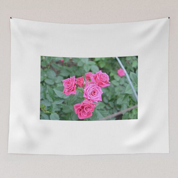 Item preview, Pink Roses designed and sold by jstxrm.