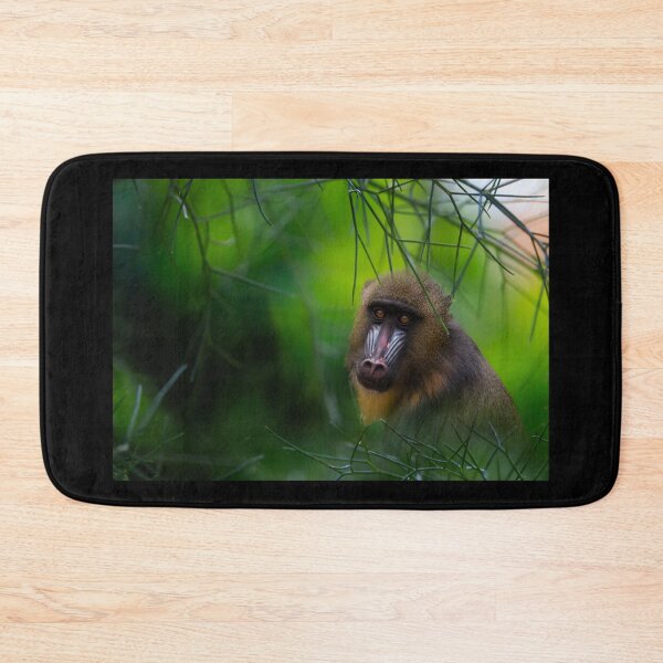 Item preview, Mandrill in Misty Green designed and sold by KbytesOfJax Outdoor and Nature.