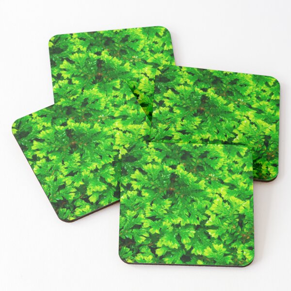 Item preview, Green Spike Moss designed and sold by srgreen.