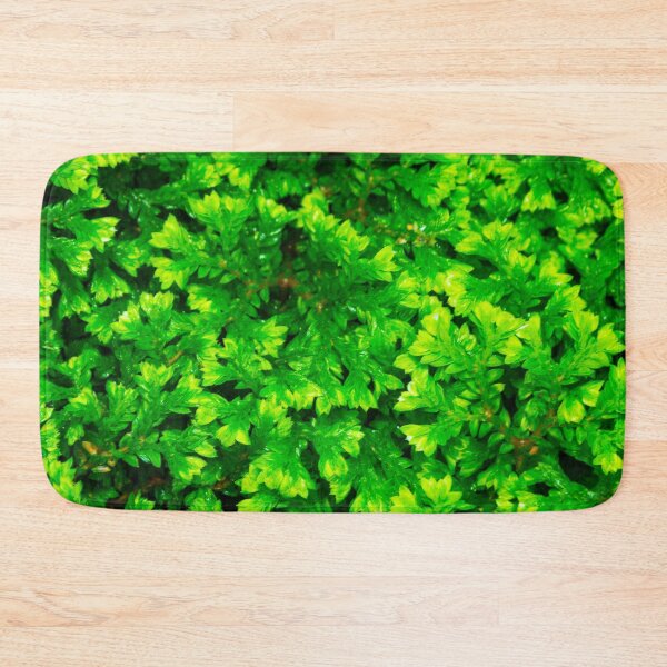 Item preview, Green Spike Moss designed and sold by srgreen.