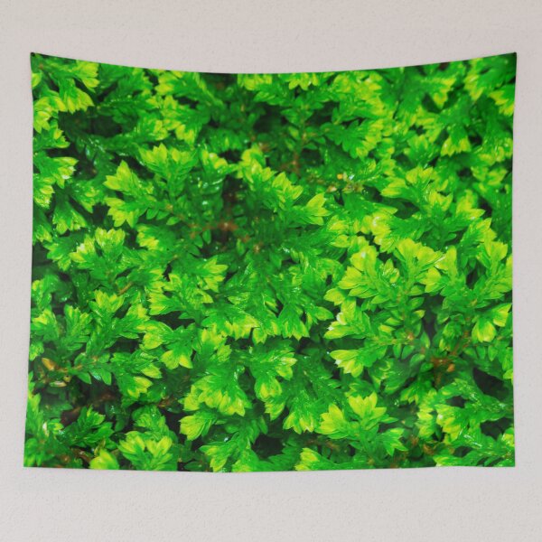 Item preview, Green Spike Moss designed and sold by srgreen.