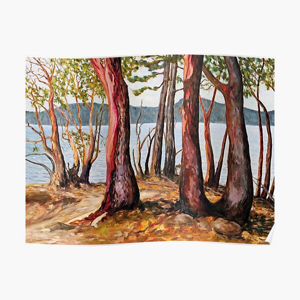 Morning With Arbutus Trees Poster