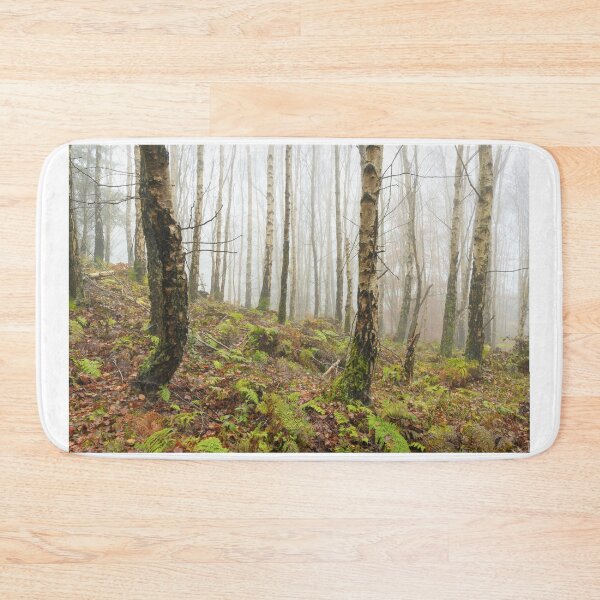 Item preview, Young beech trees designed and sold by chanonry.