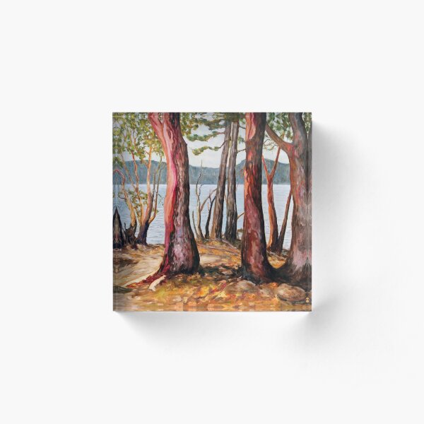 Morning With Arbutus Trees Acrylic Block