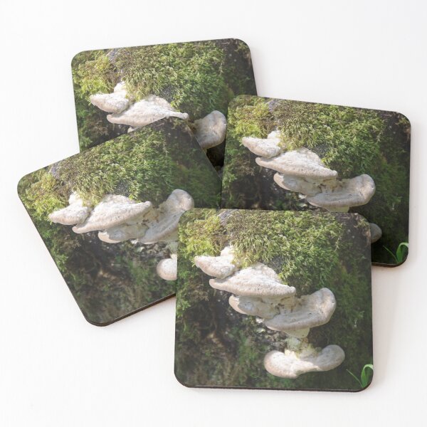 Item preview, Fungi On A Fallen Tree, Golitha Nature Reserve, Cornwall designed and sold by lezvee.