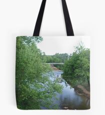 Reedy River Falls Park Tote Bag