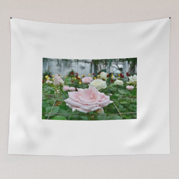 Item preview, Rose & Company designed and sold by jstxrm.