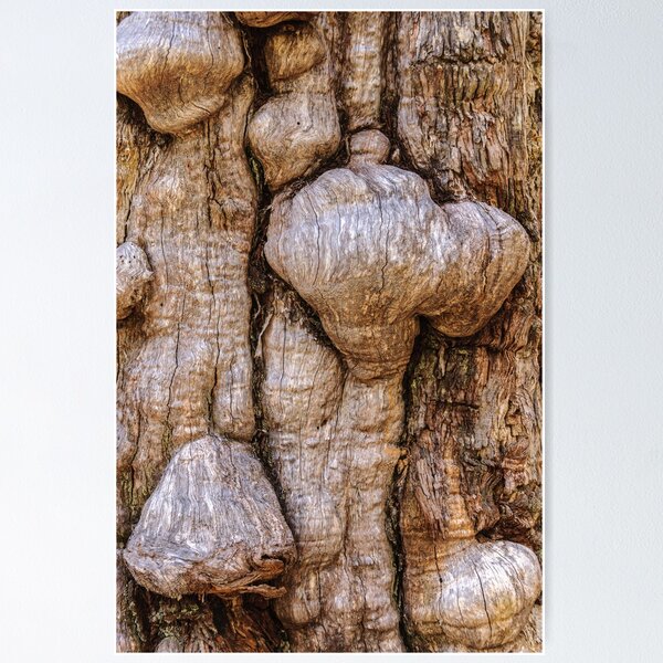 Item preview, Bark LSC02 designed and sold by Werner Padarin.