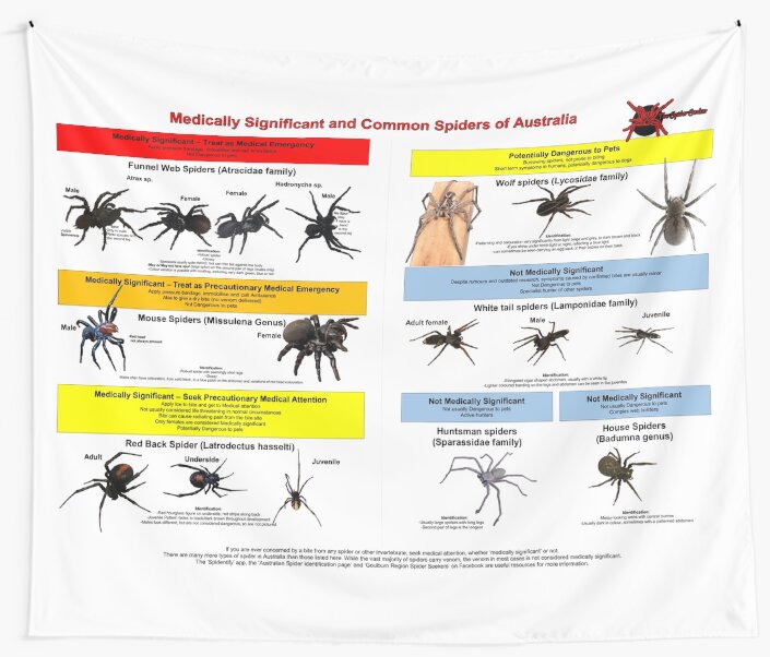 "Medically Significant and Common Spiders of Australia" Tapestry by