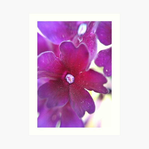 Purple Flower Art Print