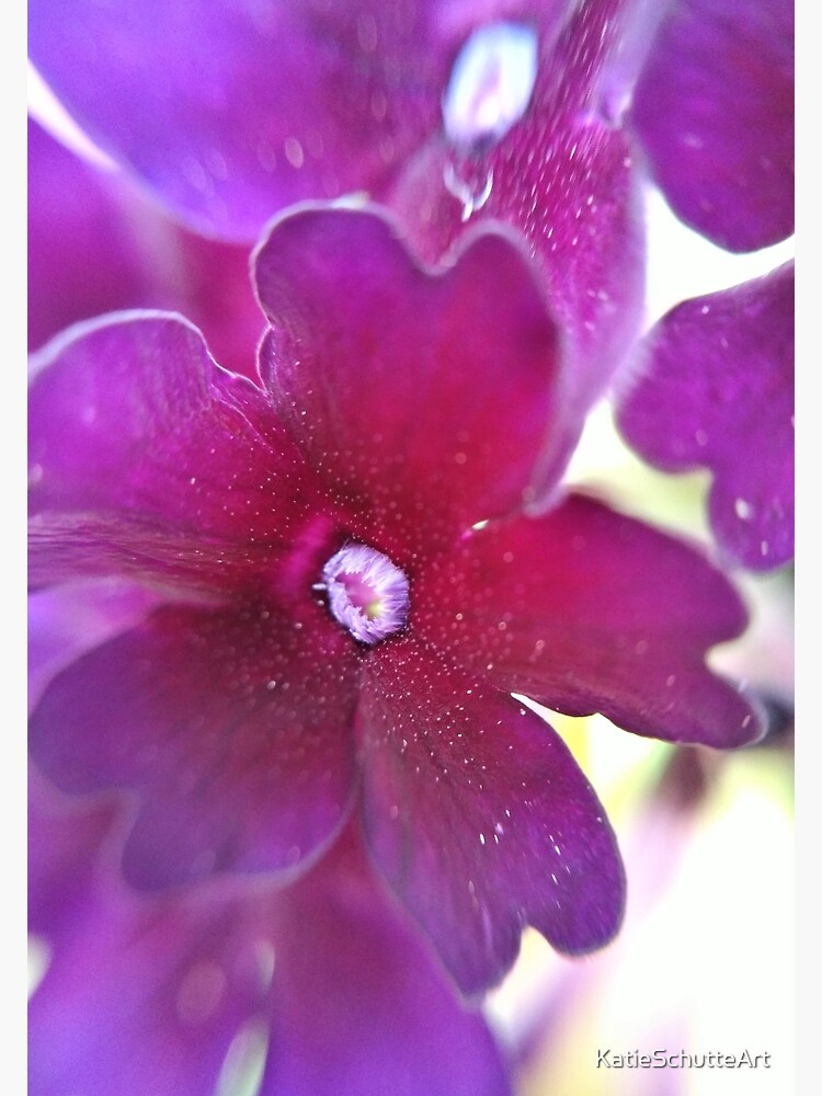 Purple Flower by KatieSchutteArt