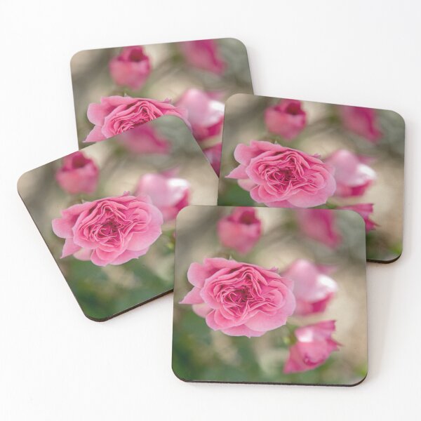 Item preview, 'Flinders' Rose and Buds designed and sold by imaginethis.