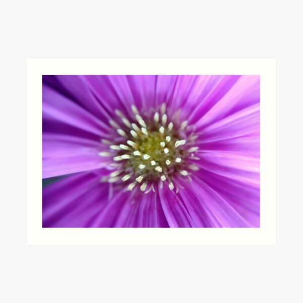 Purple Sun Art Print