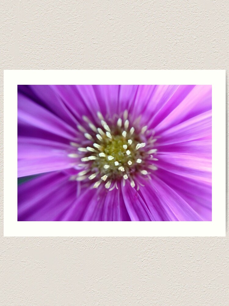 Alternate view of Purple Sun Art Print