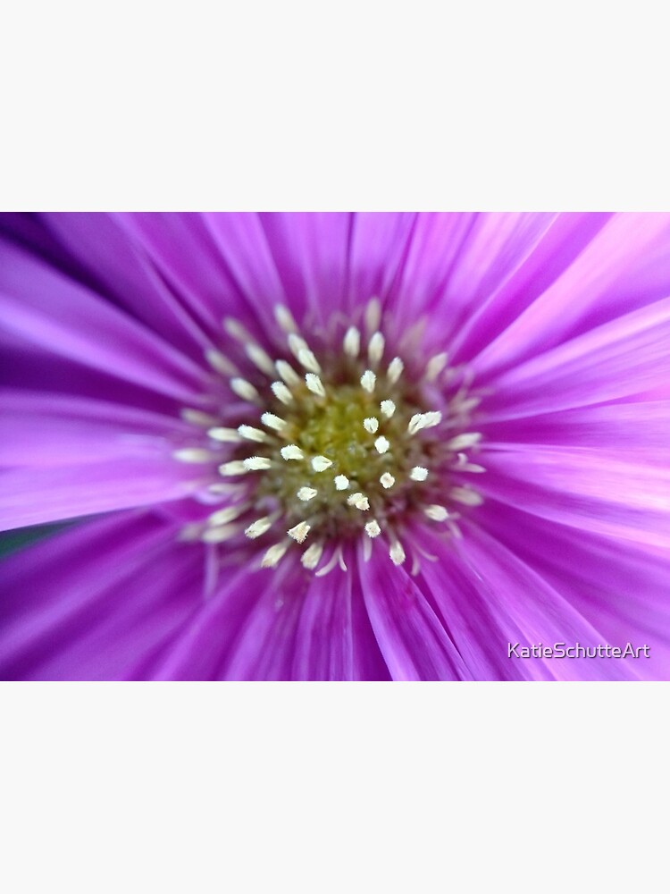 Purple Sun by KatieSchutteArt