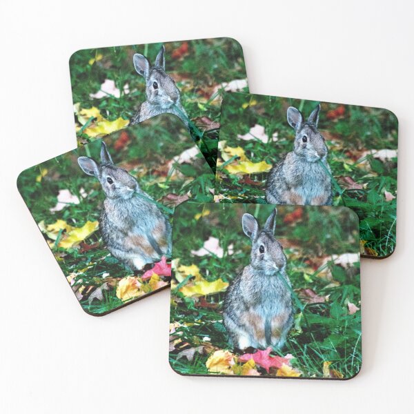 Item preview, Fall Leaves, Rabbit and Summer Greens designed and sold by VeganBear.