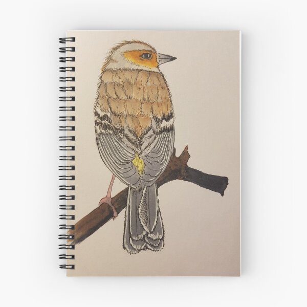 Item preview, Fringilla Coelebs -Finch designed and sold by Absentia-dMorte.