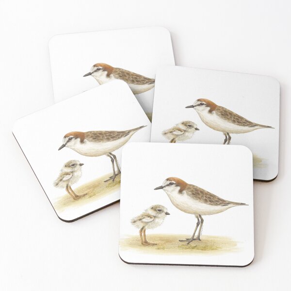 Item preview, Red-capped plover designed and sold by RedCloudDesign.