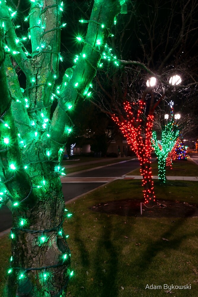 "Christmas in the Park" by Adam Bykowski Redbubble