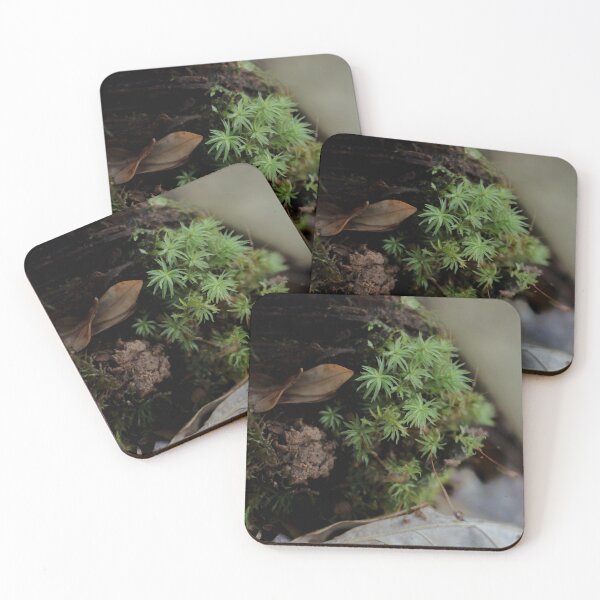 Item preview, Gathering Moss 2  designed and sold by photolodico.