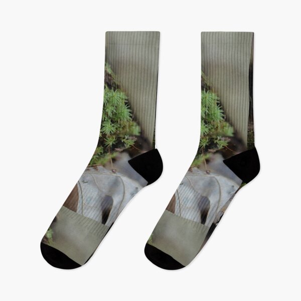 Item preview, Gathering Moss 2  designed and sold by photolodico.