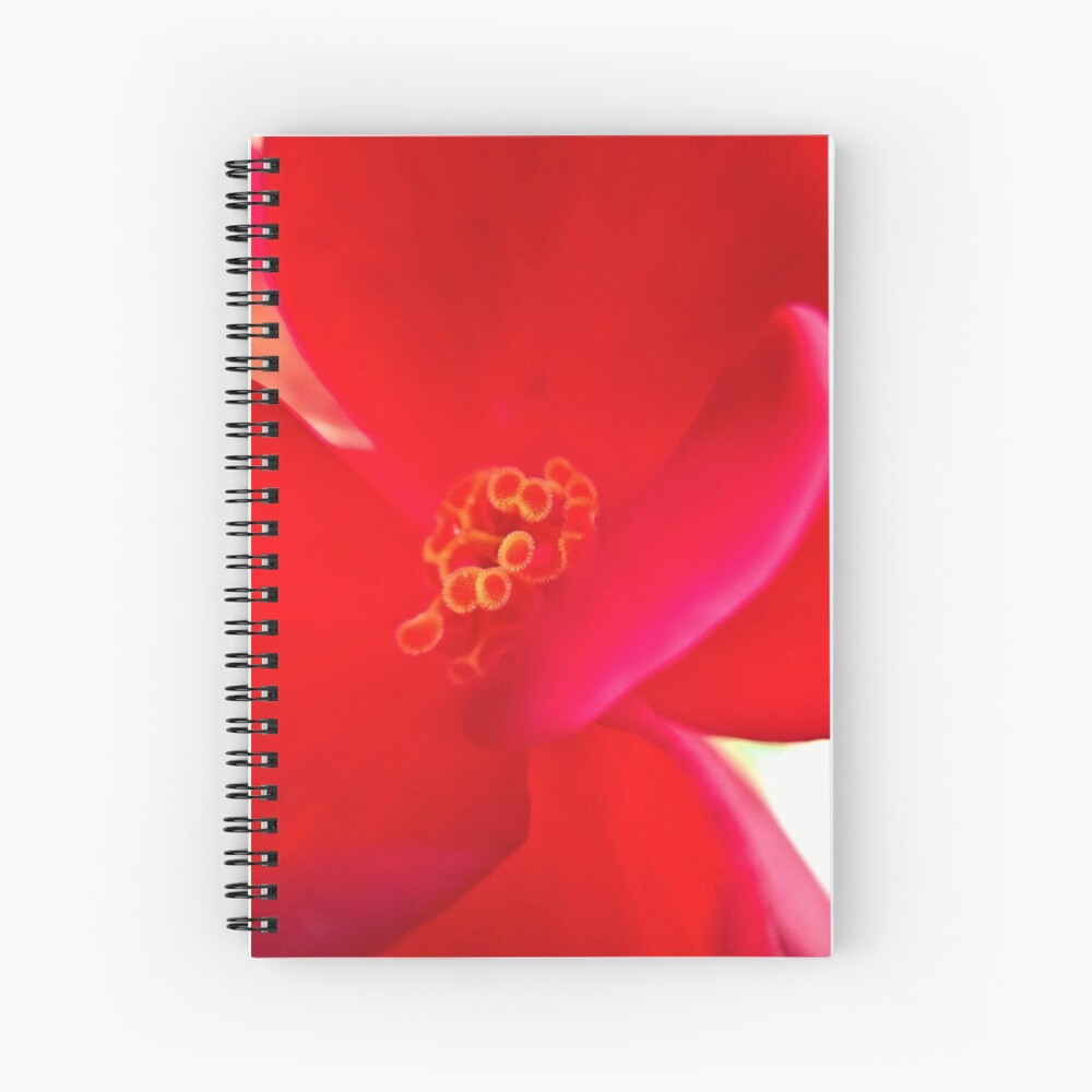 Item preview, Spiral Notebook designed and sold by KatieSchutteArt.