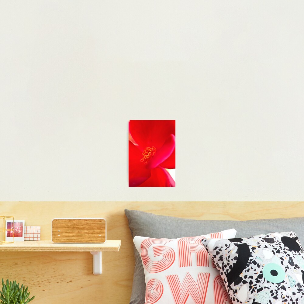 Item preview, Photographic Print designed and sold by KatieSchutteArt.