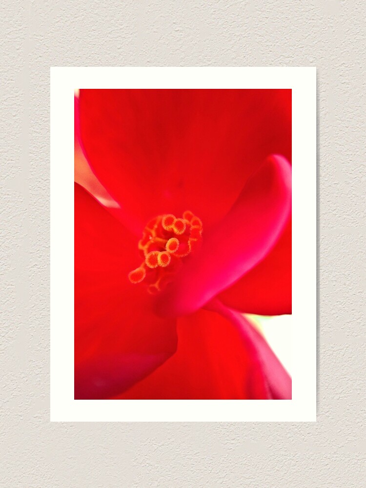 Alternate view of Red Flower Art Print