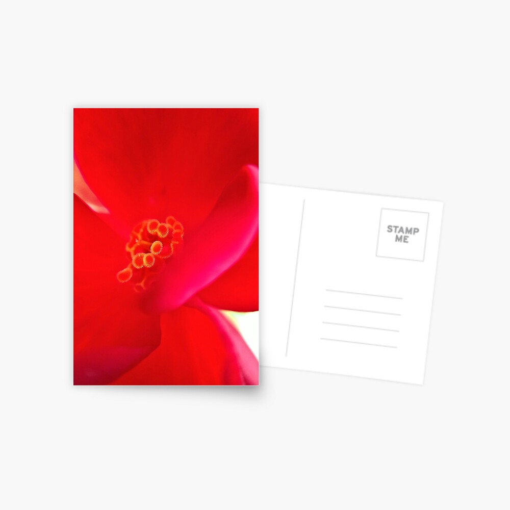 Item preview, Postcard designed and sold by KatieSchutteArt.