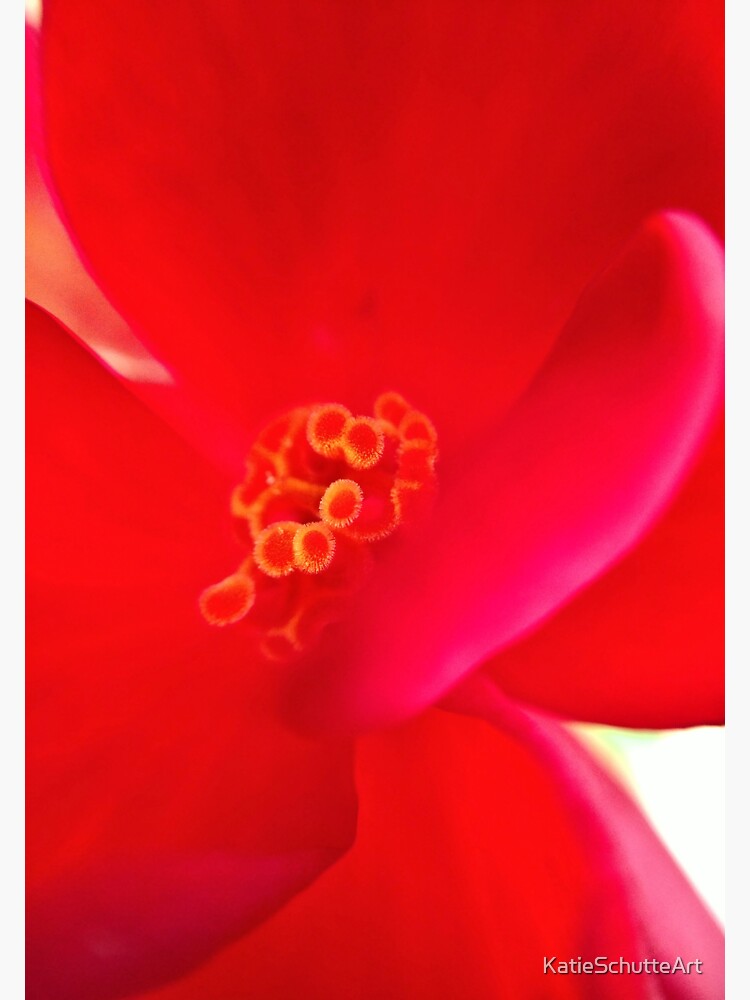 Thumbnail 3 of 3, Sticker, Red Flower designed and sold by KatieSchutteArt.