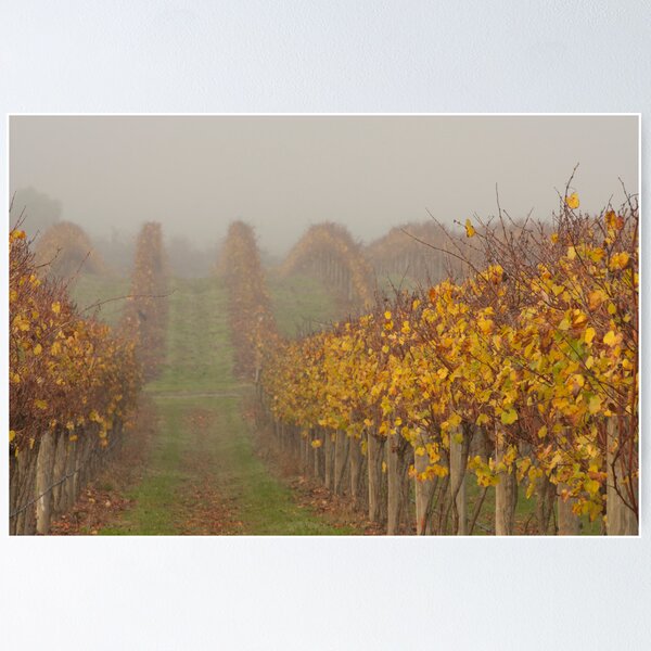 Item preview, Autumn Vineyard designed and sold by Timo Balk.