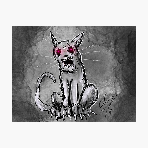 MEOW Photographic Print