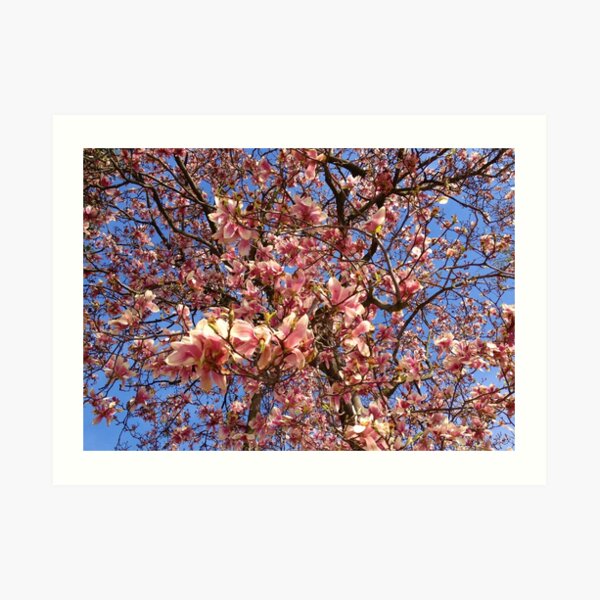 Spring Tree Art Print