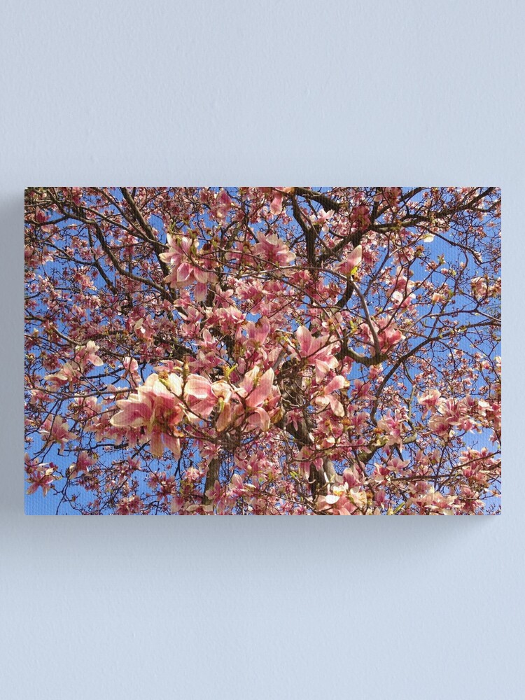 Alternate view of Spring Tree Canvas Print